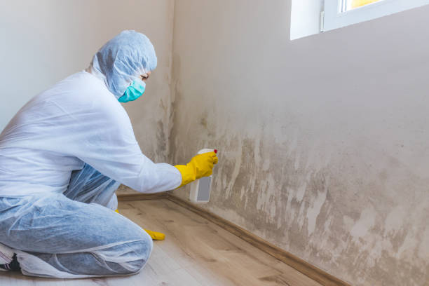 Hvac And Air Duct Mold Remediation inspection of HVAC system in Barclay