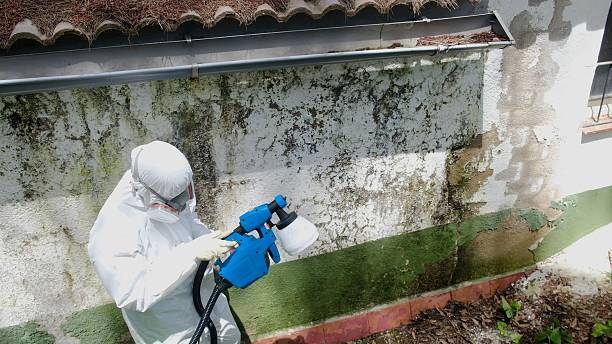 Mold Removal service in Barclay
